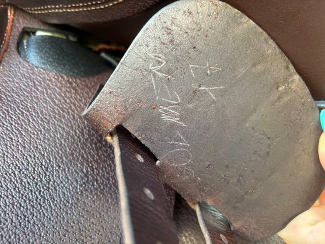 Selle Equeen Saddle