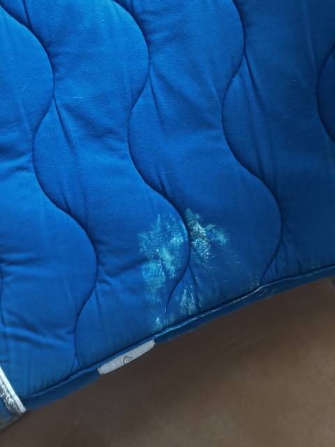 Tapis Equithème bleu