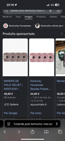 Bande de polo kentucky