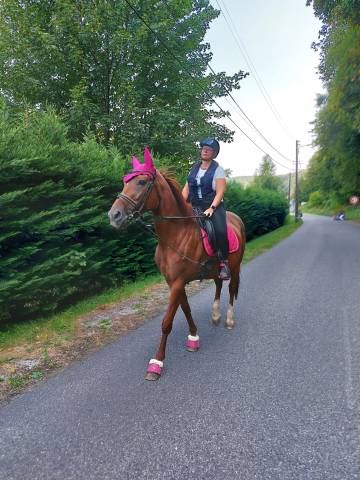 Jument pour loisirs 