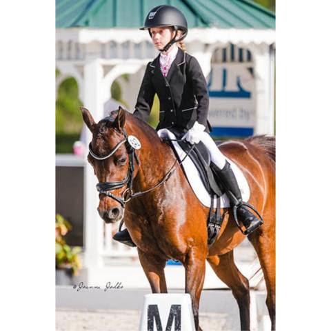 Veste de concours CRYSTAL PURITY KIDS - Cavalliera - Softshell technique
