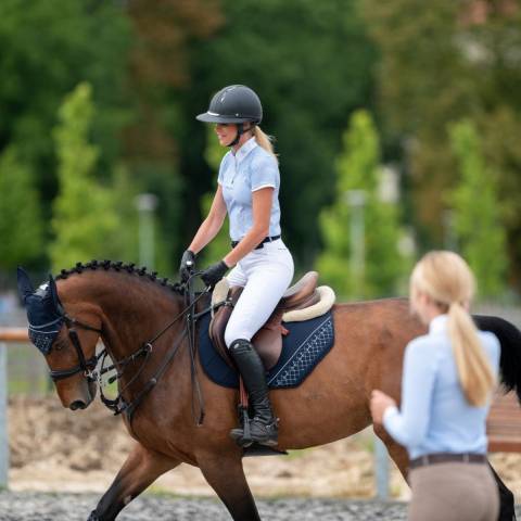 Chemise de concours PALAIS ROYAL - Cavalliera - Manches courtes