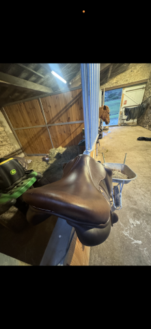 Selle rebelle 