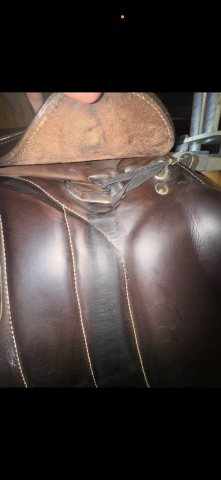 Selle rebelle 