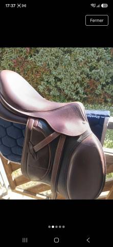 Selle d'obstacles Arion 