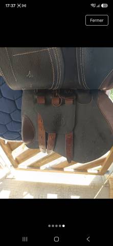 Selle d'obstacles Arion 