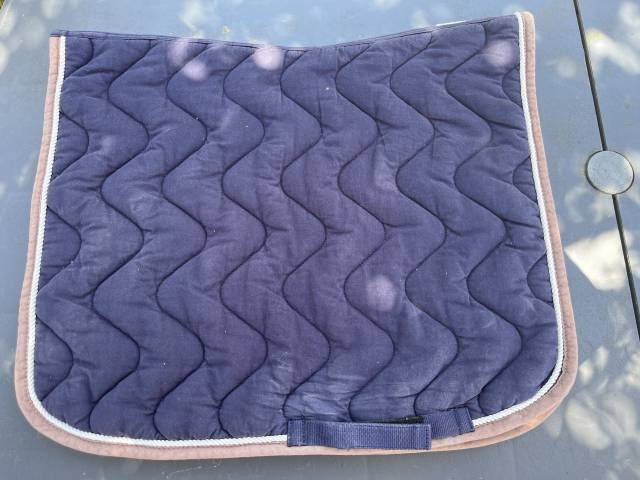 Tapis dressage 