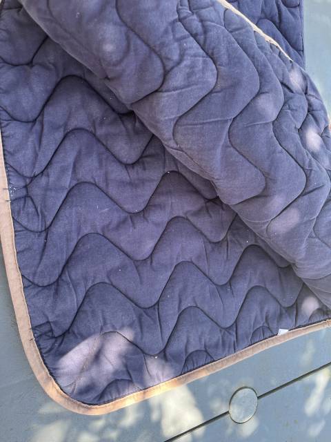 Tapis dressage 