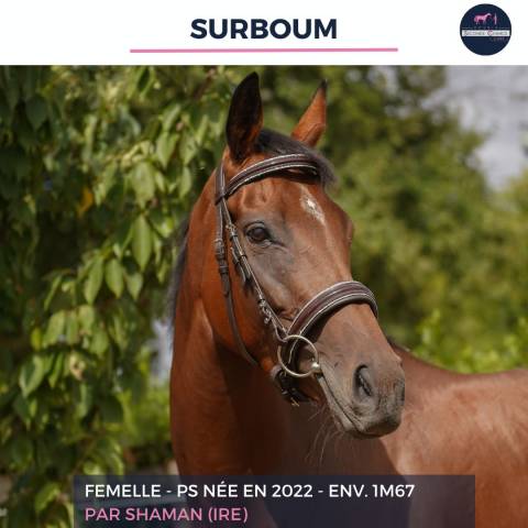 Surboum - ps - 4 ans 