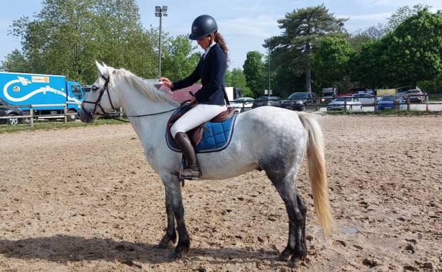 Poney d 4ans par dexter leam pondi