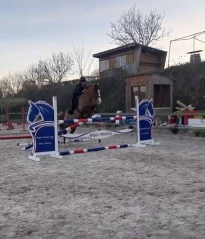 à vendre super poney p1/p elite 
