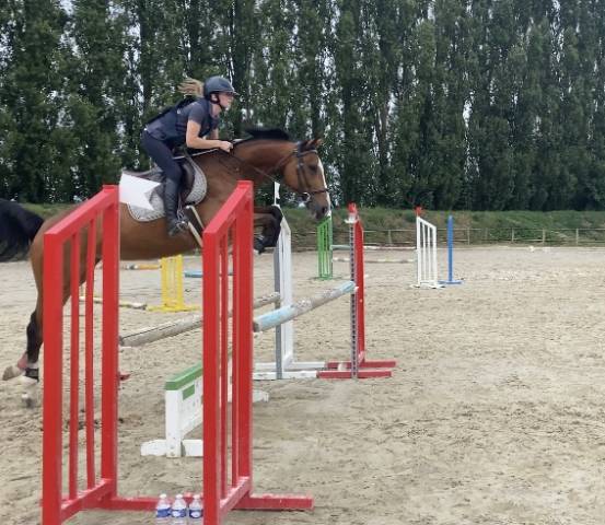 Jument 9 ans par andiamo semilly 