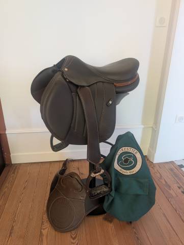 Forestier seoul sport 17,5