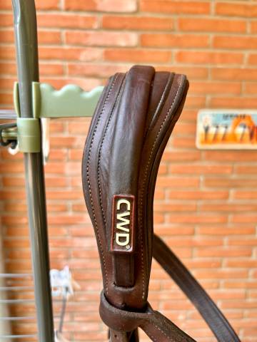 Bridon anatomique cwd
