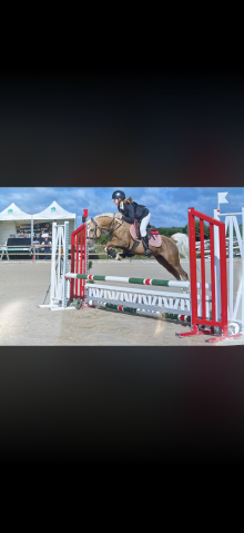 Lucky de l'oublan - poney à vendre 