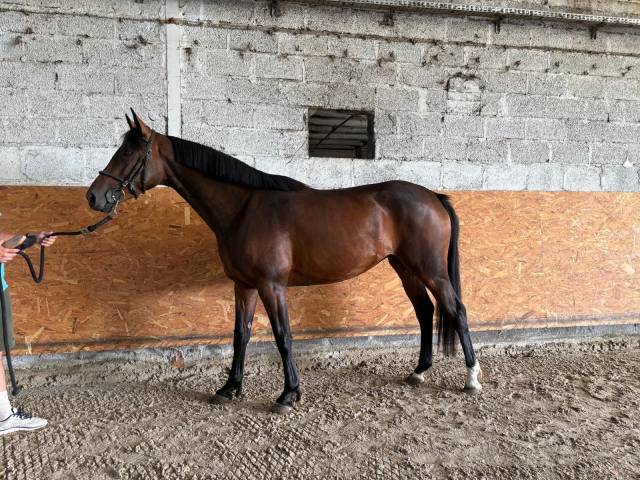 à vendre 4 ans 