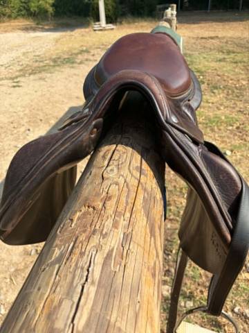 SELLE BOECKLEO FORESTIER
