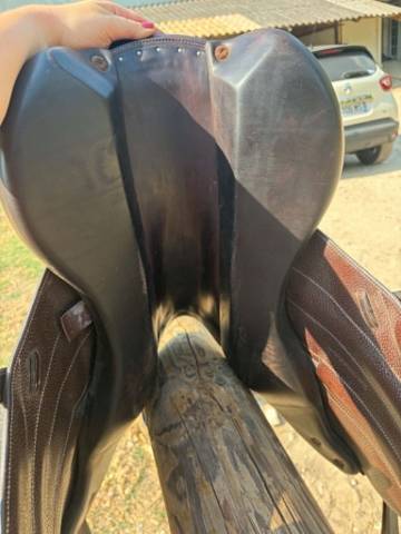 SELLE BOECKLEO FORESTIER