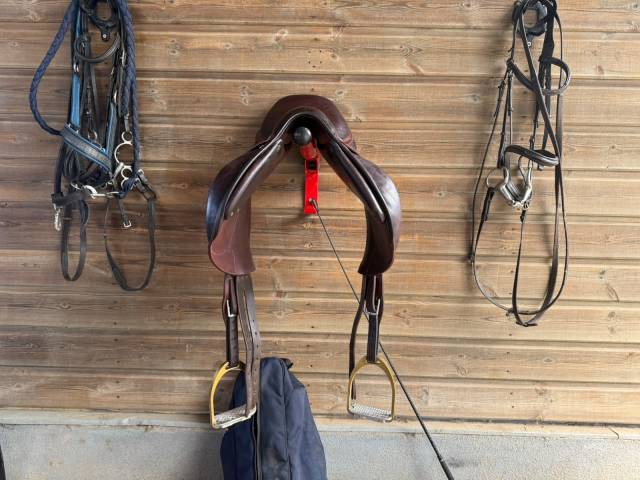 Selle chiberta k kids