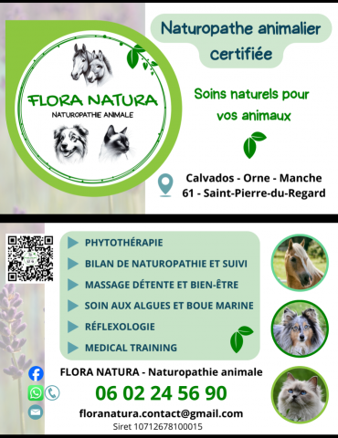 Massages phytothérapie naturopathie
