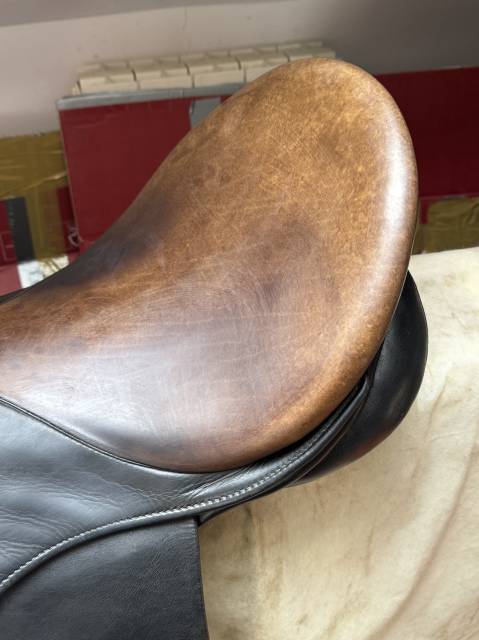 Selle dressage stĂĽbben maestoso havane arcade 31 Ń‚.17,5