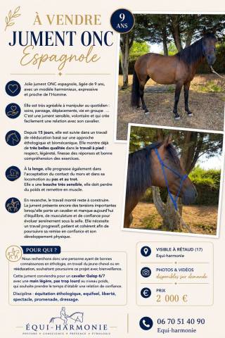 Jument onc espagnole 9 ans