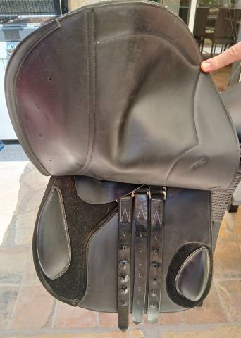 Selle norton club rexine evol  17"