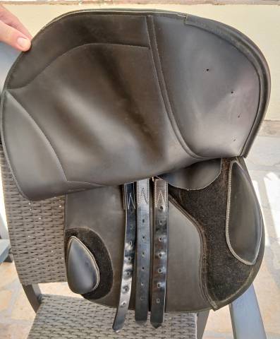 Selle norton club rexine evol  17"