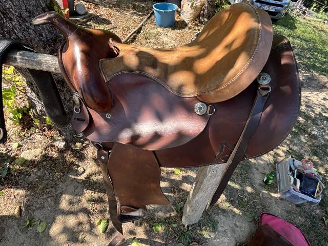 Selle western 