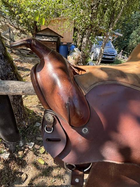 Selle western 