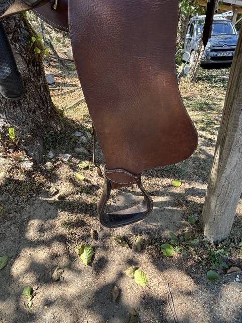 Selle western 