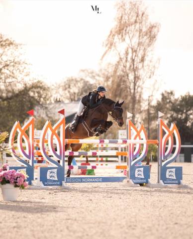 Urgent ! super poney pour évoluer de p1 à pelite/as2