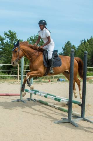 Trotteur de 4 ans