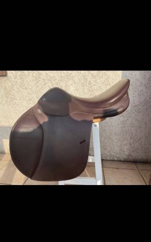 Selle prestige mixte  golden star 2017 