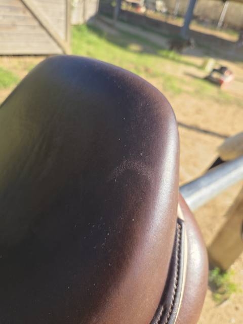 Selle ikonic Light jumping 