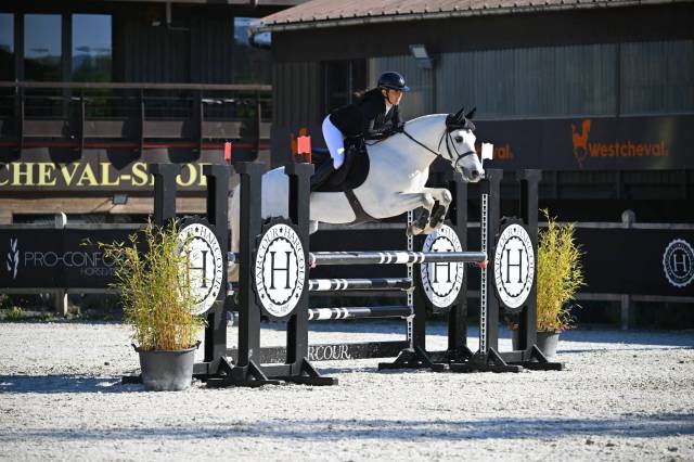 Poney cso as2/as1