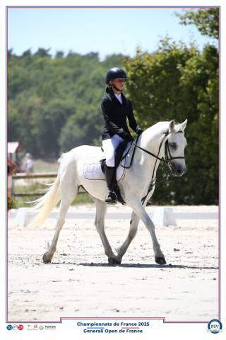 Poney c welsh pb