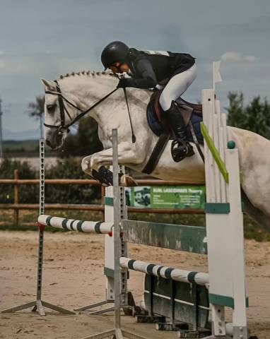 Poney c welsh pb 