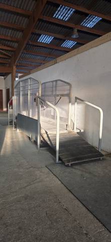 Tapis roulant Hippocenter 