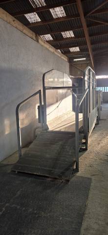 Tapis roulant Hippocenter 