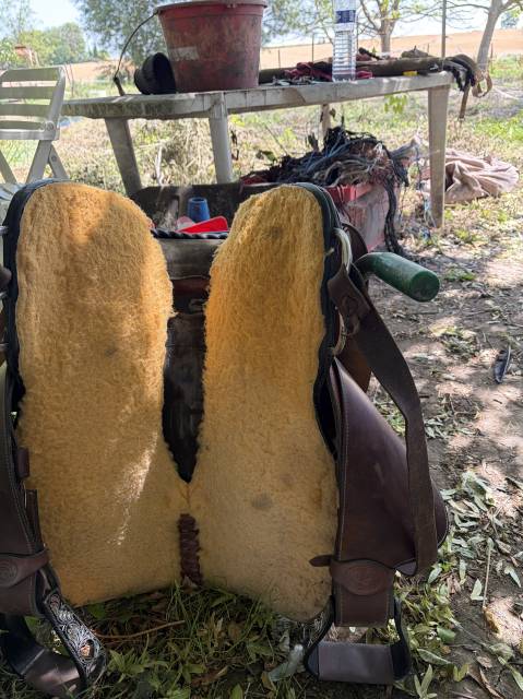 Selle western barel 15 pouce fqhb