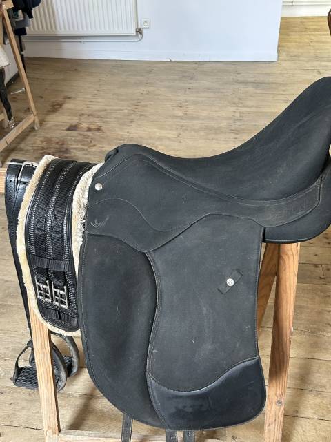 Selle wintec isabelle icon
