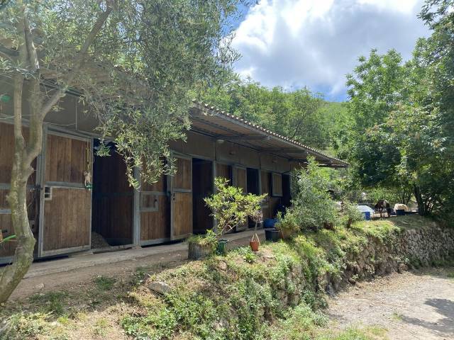 Propriété équestre de 6,5 ha  vence (06)