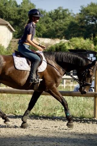 Cheval de loisir 