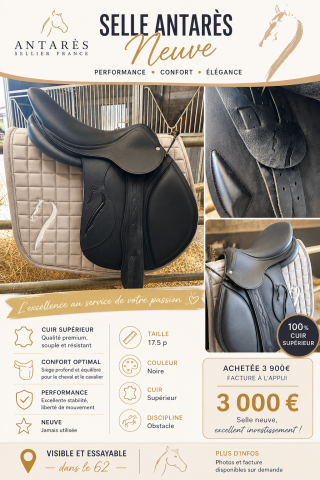 Selle antares neuve 17.5p cuir supérieur 