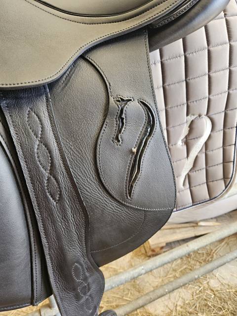 Selle Antares neuve 17.5p cuir sup&eacute;rieur 