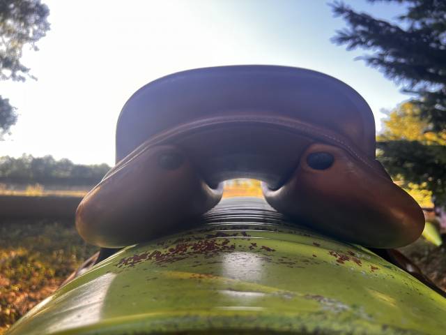 Selle renaissance