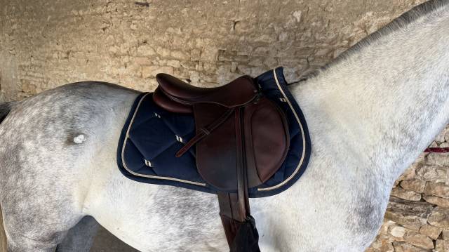 SELLE DEVOUCOUX 17 pouces