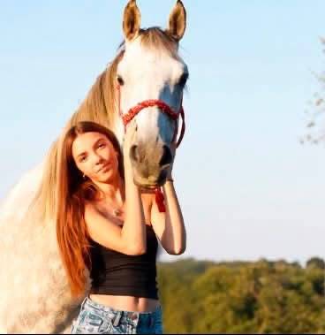 Belle jument anglo arabe de 11 ans