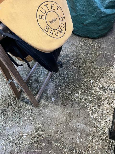 Selle dressage butet